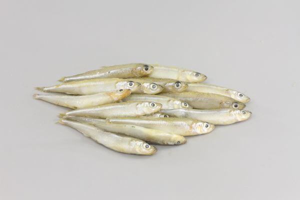 Frozen Smelts