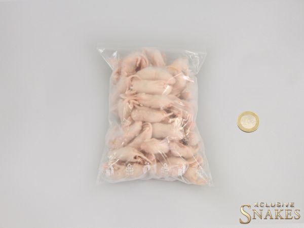 Frozen Mice